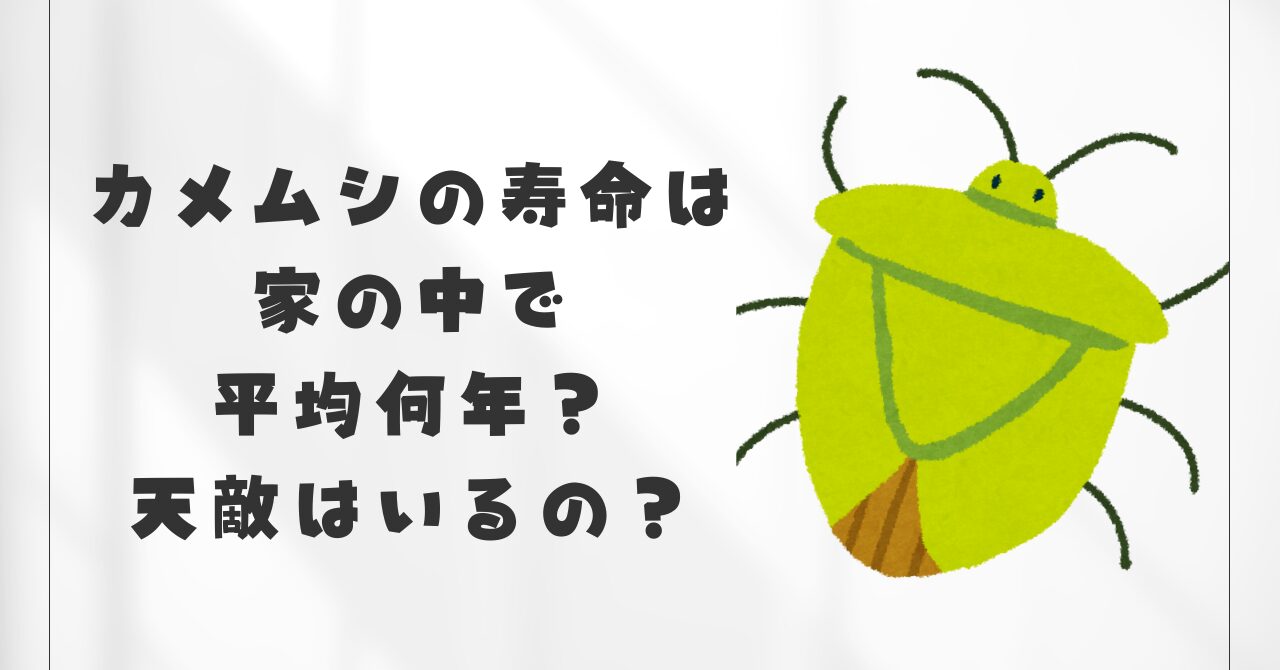 カメムシの寿命は家の中で 平均何年？ 天敵はいるの？